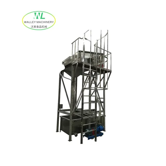 Walley Machinery Supplys Specific Waterfall Type of Washing Machine for Raisin Cleaning