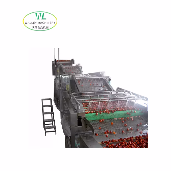 Walley Machinery Supplys Specific Waterfall Type of Washing Machine for Raisin Cleaning