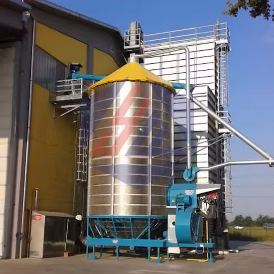 機械重力ソルガムはカビの生えた穀物、虫食いの穀物、未熟な穀物を取り除きます。